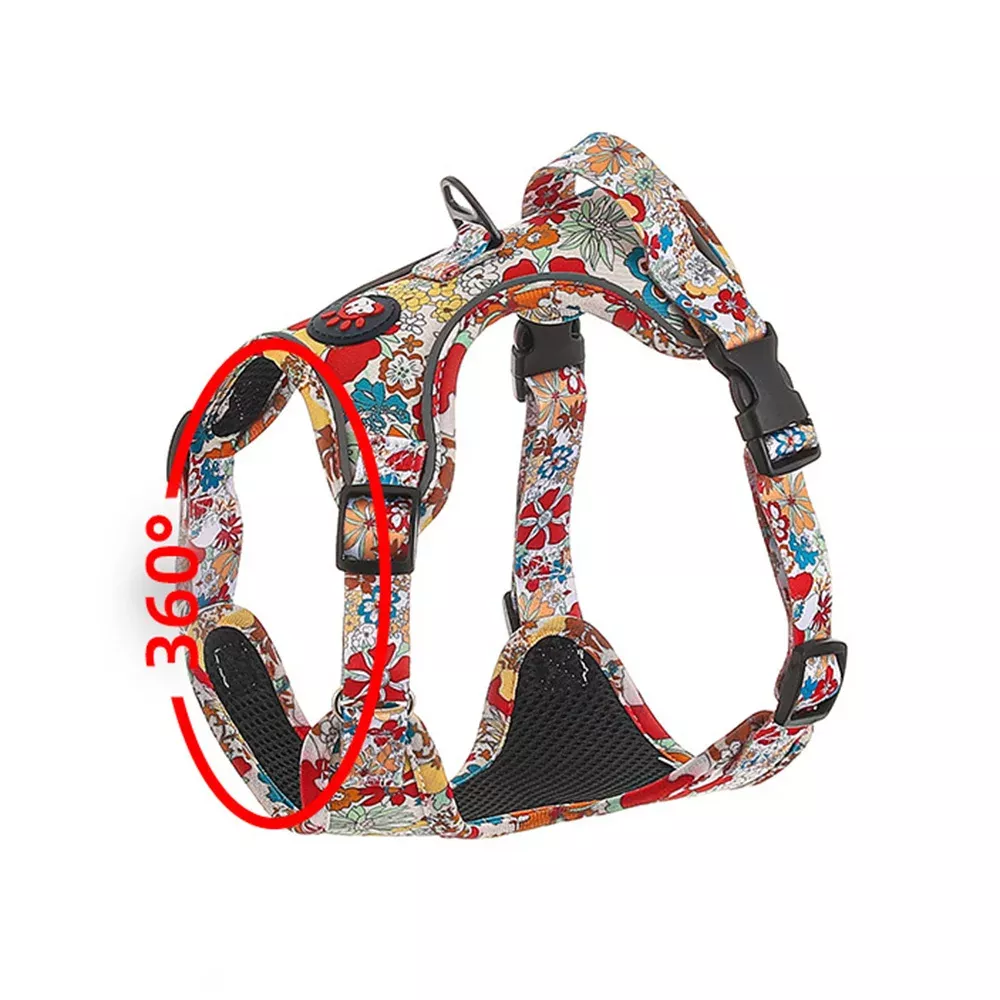 Fashionable Print Dog Harness and Leash Set for Small and Medium Dogs - Image 6