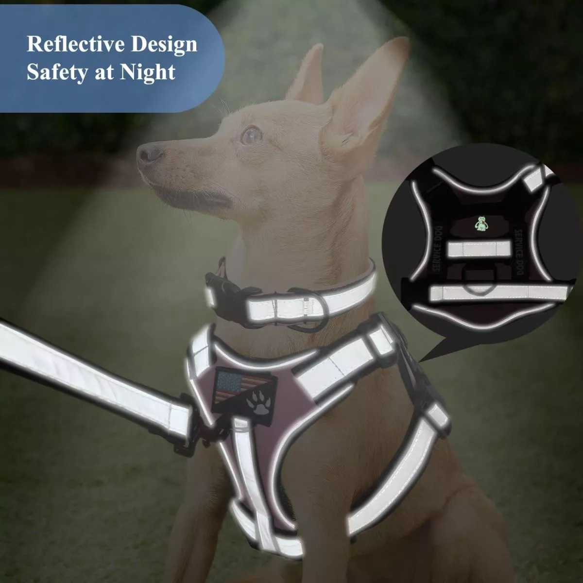 Doberman Dog Harness Collar Leash Set - Image 6