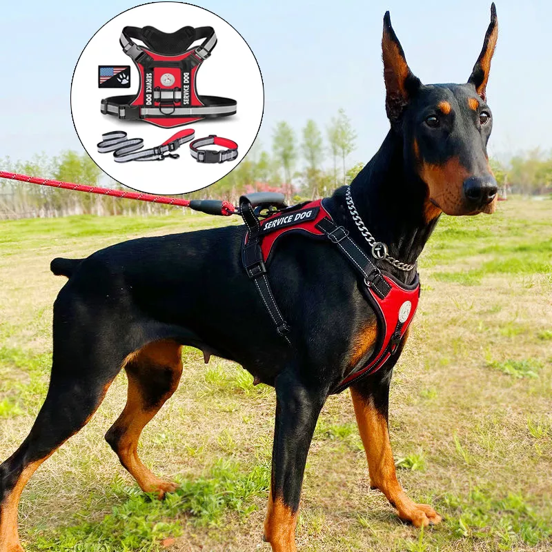Doberman Dog Harness Collar Leash Set - Image 2