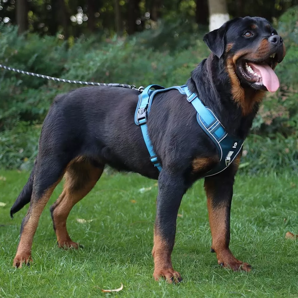 Adjustable Reflective Safety Dog Harness and Leash Set - Image 2