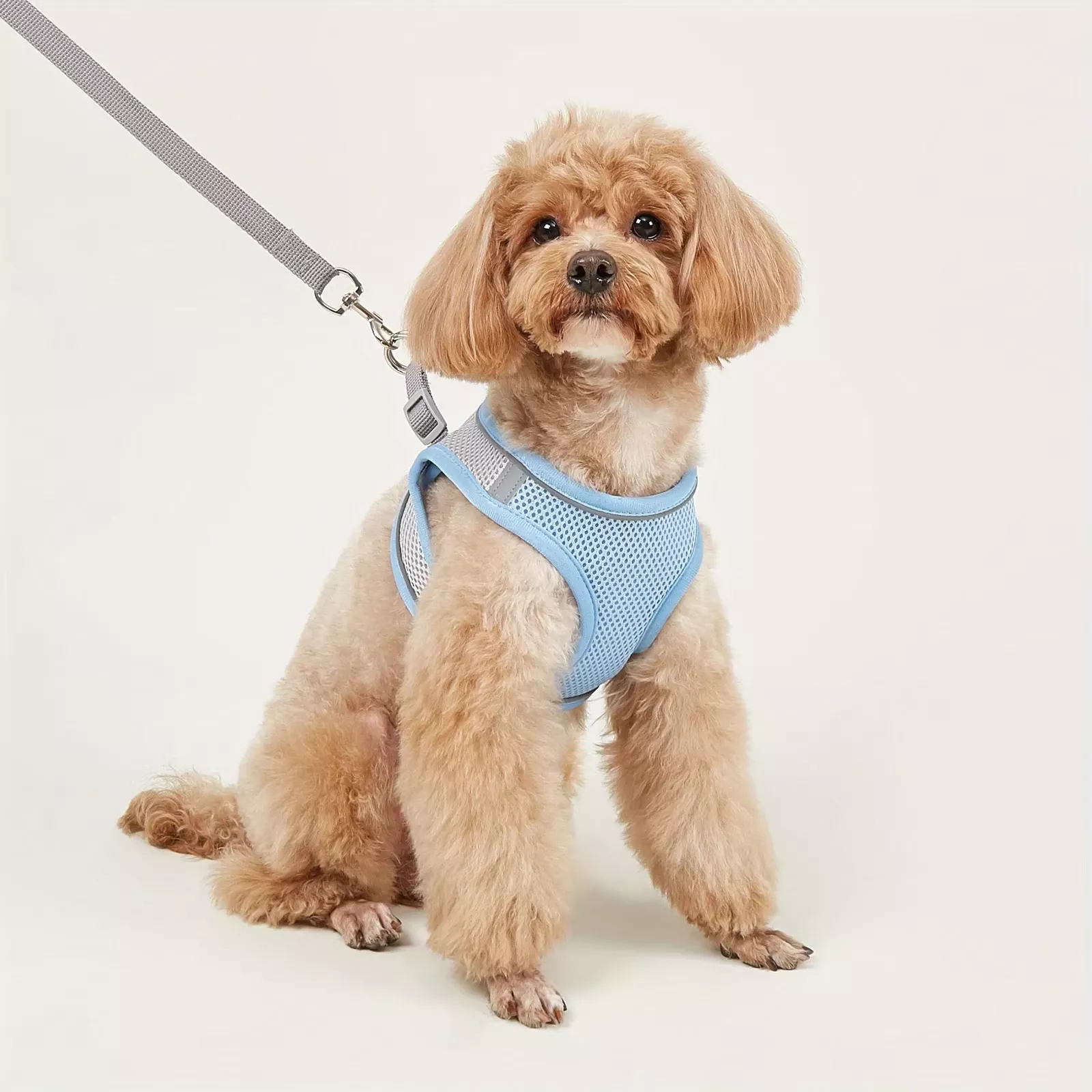 Reflective Soft Mesh Dog Harness for Small & Medium Breeds - Image 6