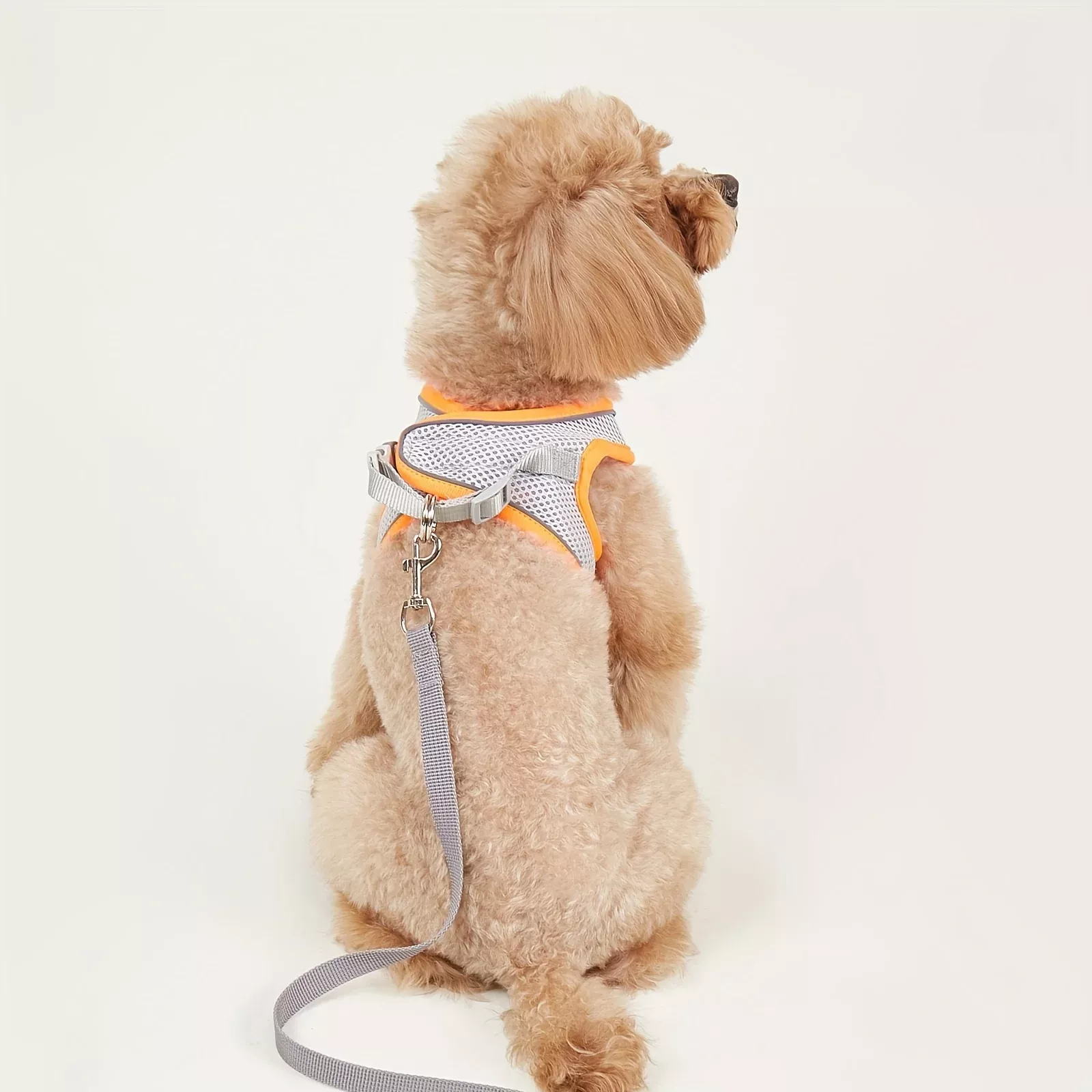 Reflective Soft Mesh Dog Harness for Small & Medium Breeds - Image 3
