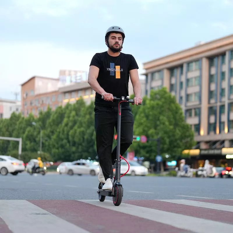 36V 350W 19MPH Folding Electric Scooter for Adults - Image 2